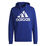 Big Logo French Terry Hoody Men