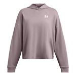 Vêtements Under Armour Trival Terry OS Hoody