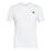 Ss T-Shirt Icon