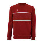 Vêtements Tecnifibre Tecnifibre Team Sweat-shirt Hommes-Rouge Foncé
