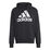 Big Logo French terry Hoody