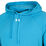 Rival Fleece Hoody