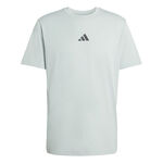 adidas adidas Climacool Identitiy Graphic T-shirt Hommes-sauge