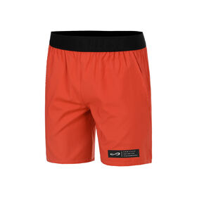 Image de Ace Iconic Shorts Hommes-Marron
